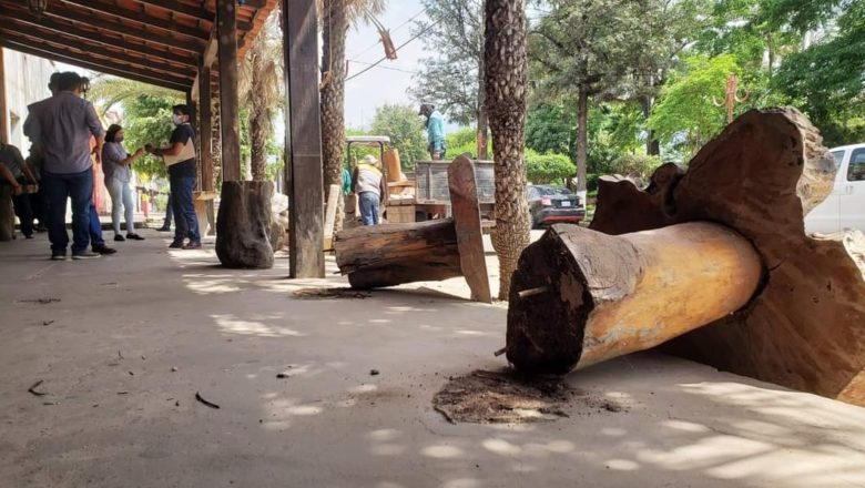 VillaMontes: Catastro realiza el retiro de mesas que obstaculizan el paso peatonal