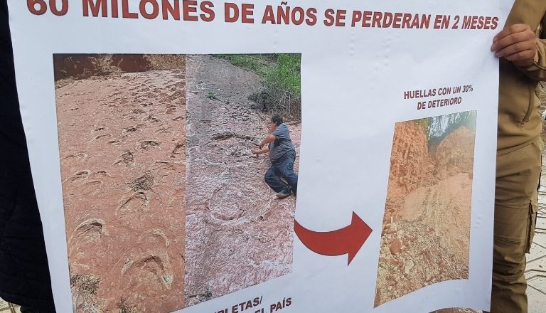 Tarija: 30% de las huellas de dinosaurio se deterioró por las lluvias, se necesita bs. 19.000 para conservarlas