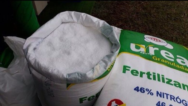 Urea boliviana es 36% más barata y ahorra gastos de producción para el agro nacional