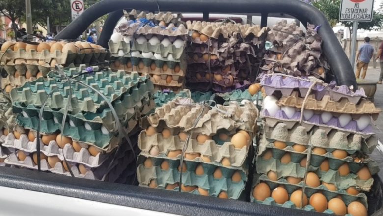 Tarija: El Senasag decomisa 6000 huevos en la Abra del Cóndor