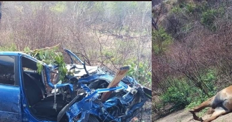 Santa Cruz: Un muerto y un herido deja colisión contra un caballo en carretera bioceánica