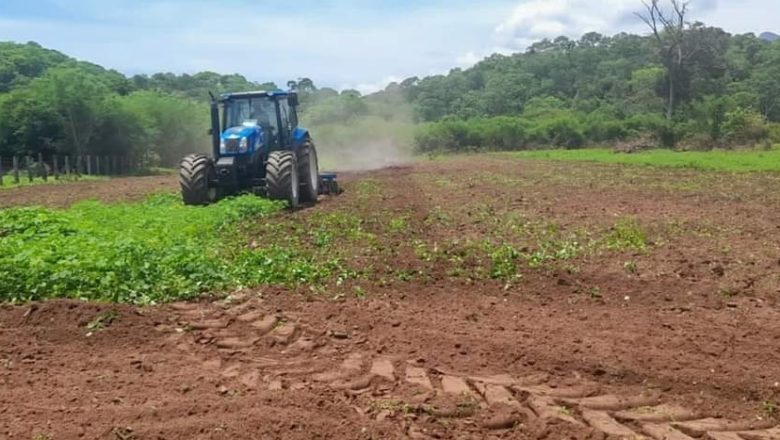 Campaña Agrícola: En tan solo un mes, Alcaldía realizó trabajos en 805 hectáreas en tres distritos rurales.