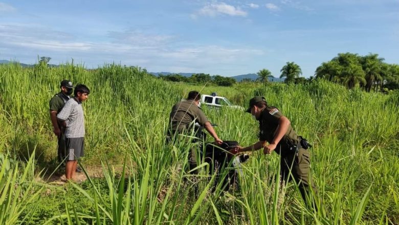 Bermejo: Diprove recupera  4 motocicletas que se encontraban ocultas y camufladas en la maleza