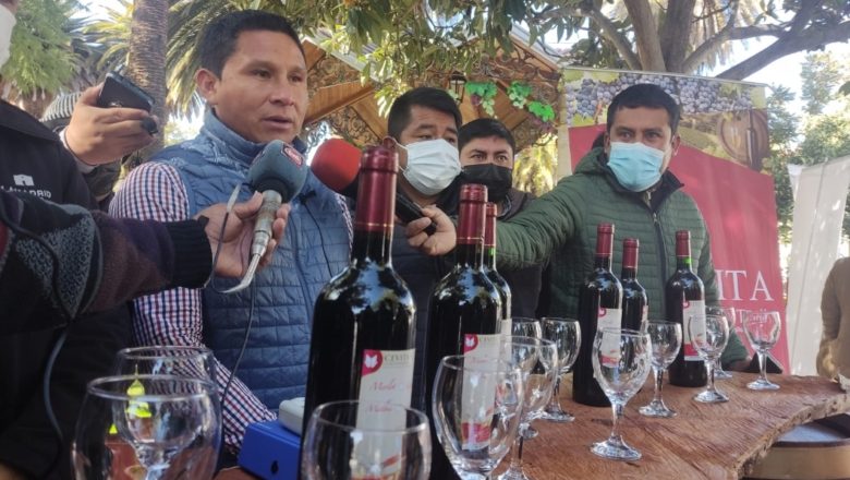 Tarija: El Cevita lanzó un programa de asesoría técnica para productores de vino