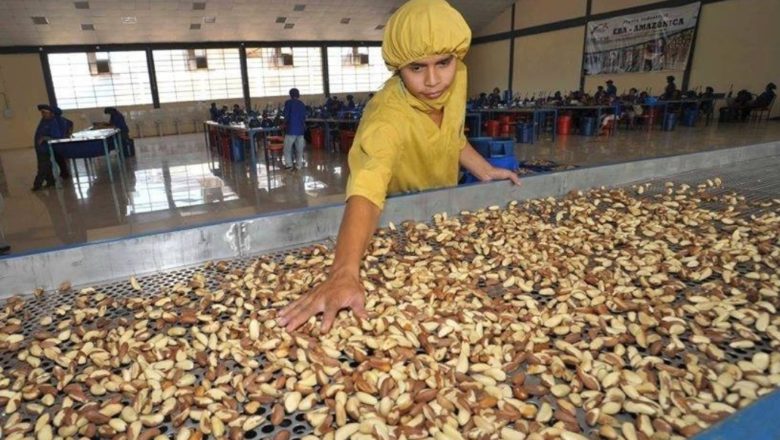 𝗦𝗲 𝗮𝗽𝗿𝘂𝗲𝗯𝗮 𝗗𝗦 𝟰𝟳𝟮𝟮 𝗾𝘂𝗲 𝗶𝗻𝘆𝗲𝗰𝘁𝗮 𝗕𝘀 𝟴𝟰𝟮,𝟴 𝗺𝗶𝗹𝗹𝗼𝗻𝗲𝘀 𝗮 𝗘𝗺𝗮𝗽𝗮 𝘆 𝗘𝗕𝗔 𝗽𝗮𝗿𝗮 𝗶𝗻𝗱𝘂𝘀𝘁𝗿𝗶𝗮𝗹𝗶𝘇𝗮𝗿 𝗹á𝗰𝘁𝗲𝗼𝘀, 𝗮𝗹𝗺𝗲𝗻𝗱𝗿𝗮, 𝗽𝗮𝗽𝗮 𝘆 𝘀𝗼𝘆𝗮