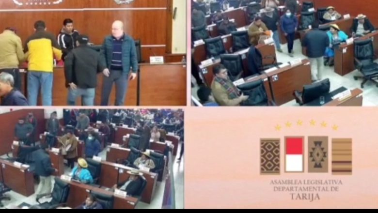 Tarija: Asambleístas de Unidos amedrentaron a la presidenta del comité Ad-hoc Juanita Miranda