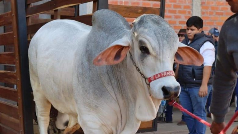 Feria: Inauguran la Expo Villa Montes 2022