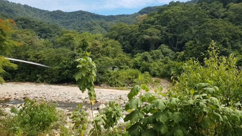 Concejal Mansilla le dice al gobernador que defina si va a defender Tariquía o no