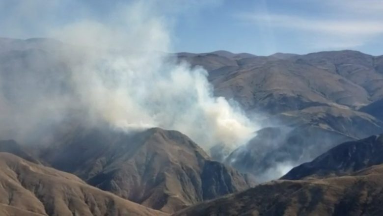 Incendios en Tarija logran ser controlados, hubo pérdidas de cabeza de ganado y dos viviendas fueron afectadas
