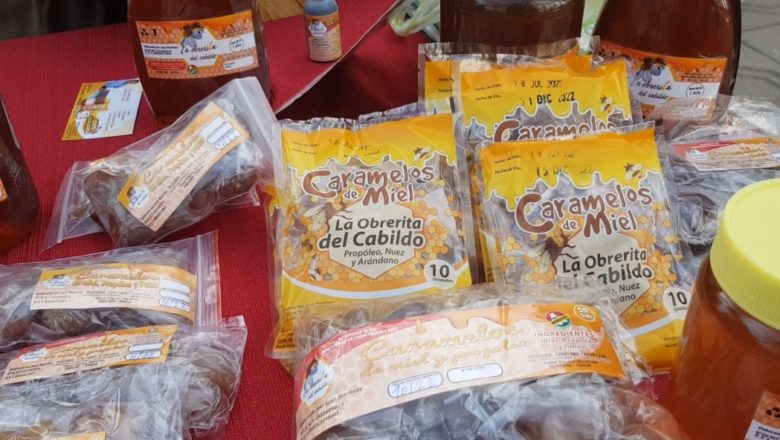 Lanzamiento de la V versión de la Feria Apícola este 21 y 22 de julio