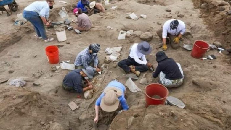Perú: Descubren 76 Nuevas Tumbas de niños sacrificados en Huanchaco