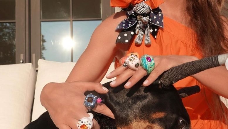 Thalía es criticada tras mostrar foto con su mascota quien tenía las orejas vendadas