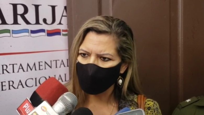 <strong>Fiscalía registró 1966 casos de violencia familiar en Tarija</strong>