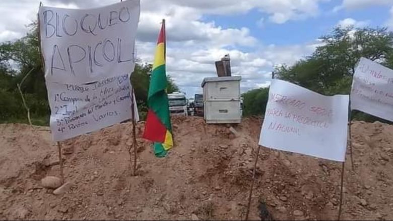 Villamontes: Apicultores amenazan con bloqueo de carretera 9 desde las 00:00 horas del miércoles
