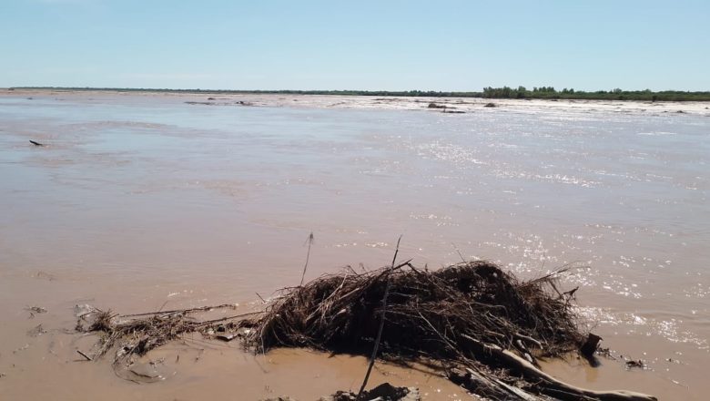 Gobernación informa que la mortandad de peces en el rio Pilcomayo fue por la turbiedad del agua