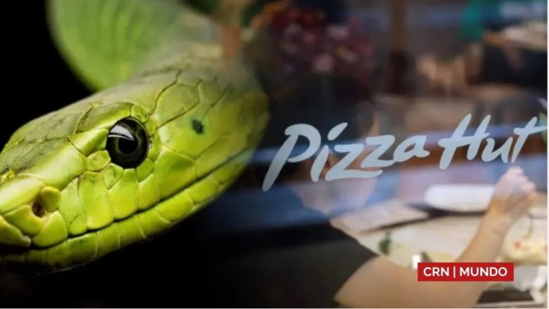 Cadena de pizzas estrena curioso nuevo sabor en Hong Kong: Pizza de serpiente