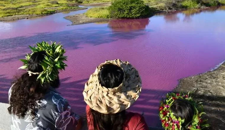 Misterio en Hawái por un estanque que se tiñó de rosa; advierten que no se debe entrar en el agua ni beberla