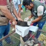 Senasag controla medidas de bioseguridad contra la gripe aviar en municipios de Tarija y Santa Cruz