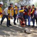 Alcaldía de Tarija reapertura el renovado parque del bosquecillo de Juan XXIII