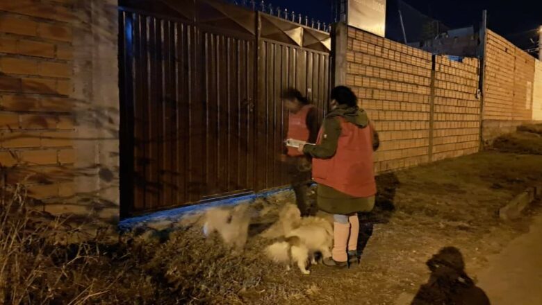 Alcaldía de Tarija notificó a 150 personas que dejan a sus mascotas en la calle