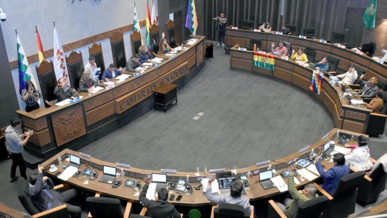 Gobierno pide convocar a sesión del Senado para blindar las elecciones