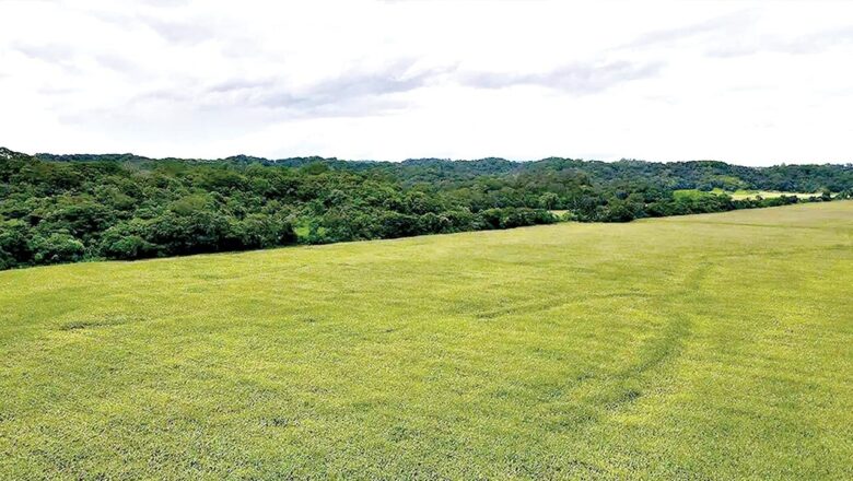 Las tierras del hijo del presidente: legisladores suman denuncias y activan fiscalización
