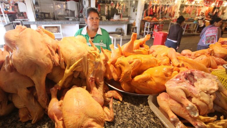 Precio del pollo sube a Bs 23 en Santa Cruz y Bs 25 en La Paz; acusan a la falta de diésel y los bloqueos