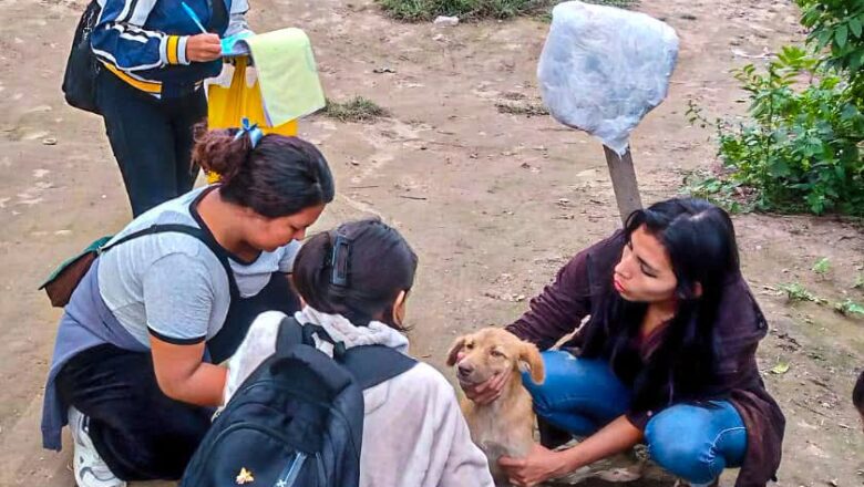 Villa Montes realiza campaña de prevención contra la leishmaniasis visceral en canes