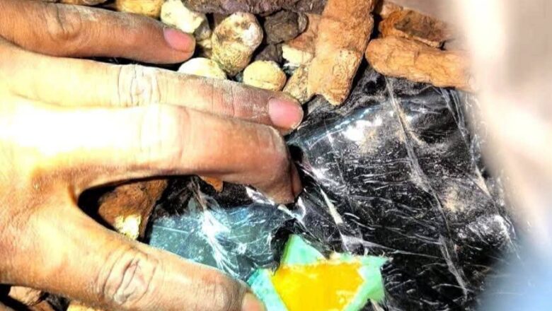 Beni: FELCN secuestró pasta base de coc4ína oculta en bolsa de oca