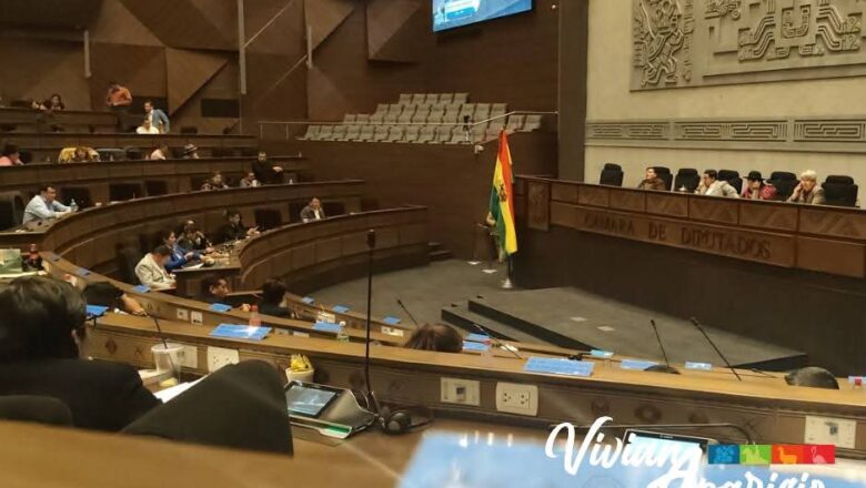 Diputada Aparicio: «Dimos un paso importante para reactivar la economía» con la aprobación de un crédito