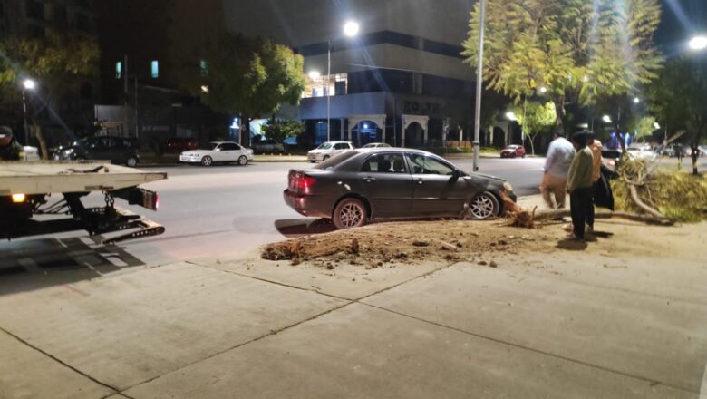 Accidente en Avenida Integración: Fallas Mecánicas causan Choque contra un árbol y un poste en Tarija