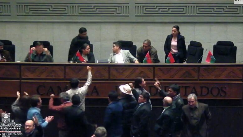 Tensión en Diputados por contratos de litio; definen cuarto intermedio en sala