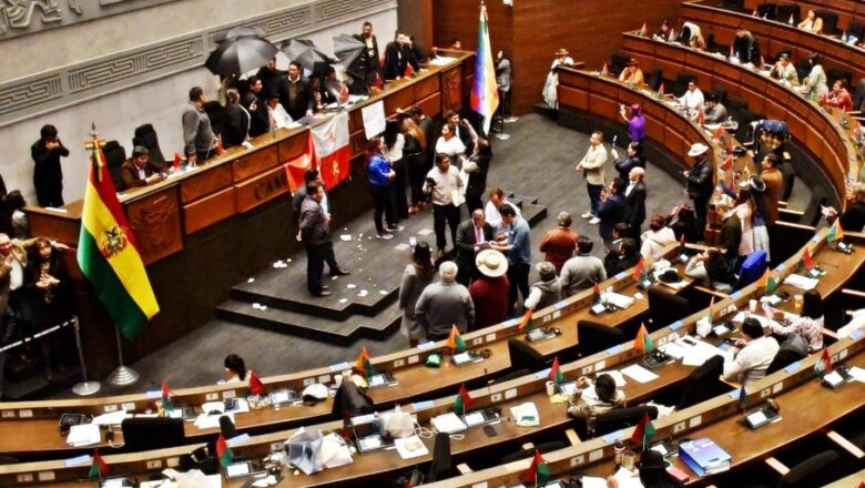 Puños, papeles, vasos de agua y boca tapada: así se rompió el debate por el litio en Diputados