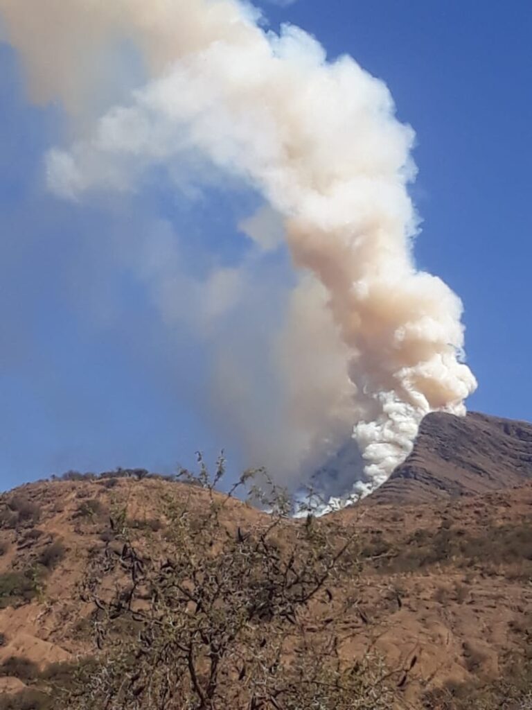 Descontrol en limpieza de terreno causa incendio forestal en comunidades de Tarija
