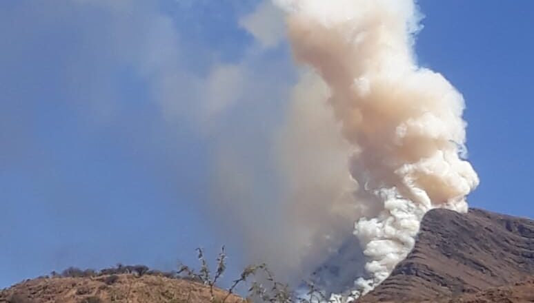 Descontrol en limpieza de terreno causa incendio forestal en comunidades de Tarija