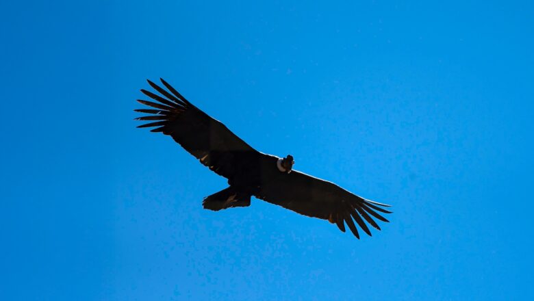 Gobernador de Tarija inspecciona El Cañón del Pilaya para impulsar su promoción turística