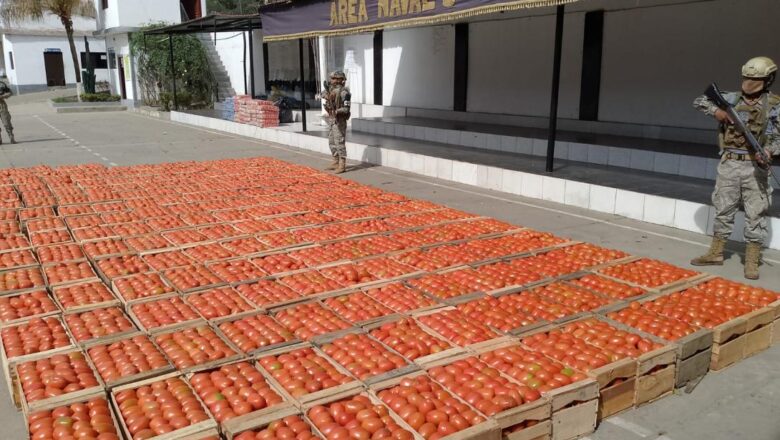 Bermejo: comisan productos de contrabando valuados en Bs. 25.800 en operativos fronterizos