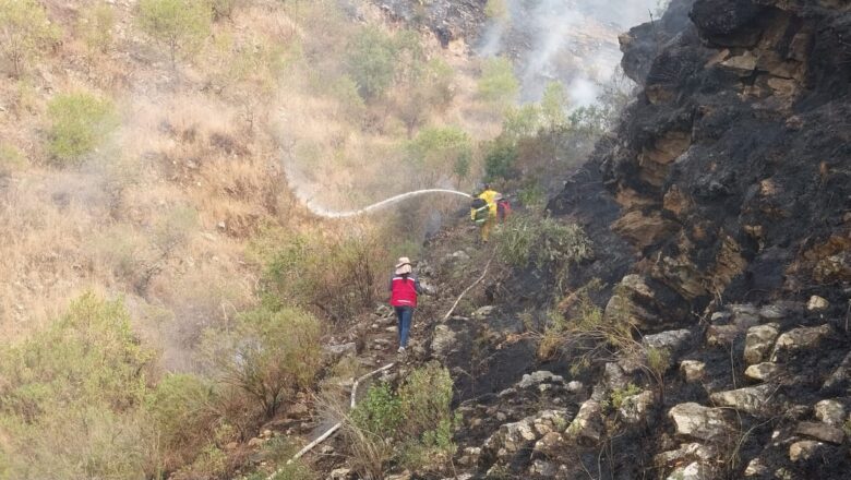 Tarija: Controlan un 80% del  incendio tras tres días de intensa operación conjunta