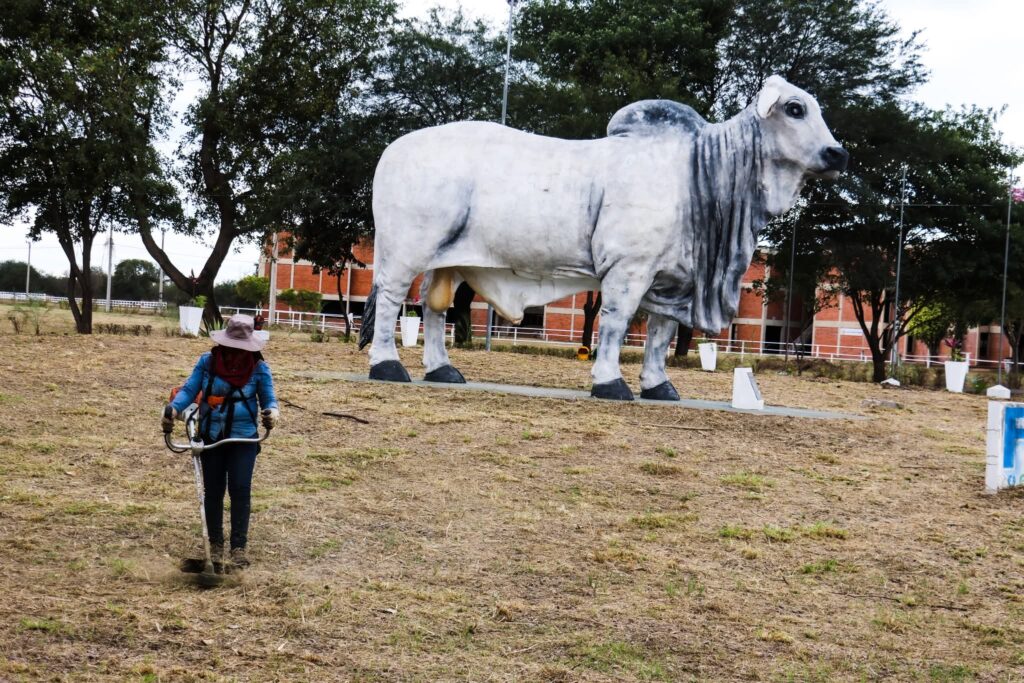 Villa Montes: Gobierno Municipal intensifica trabajos para la apertura del Campo Feria en la Fexpo Chaco