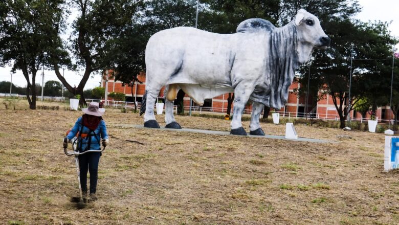 Villa Montes: Gobierno Municipal intensifica trabajos para la apertura del Campo Feria en la Fexpo Chaco