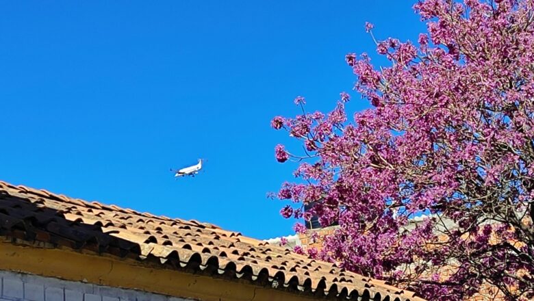 Piloto del vuelo de Tuto reconoció que no coordinó su llegada con NAABOL a Tarija