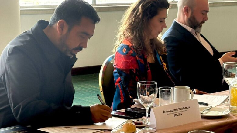 Bolivia participa en encuentro regional amazónico sobre iniciativa para la protección de bosques tropicales