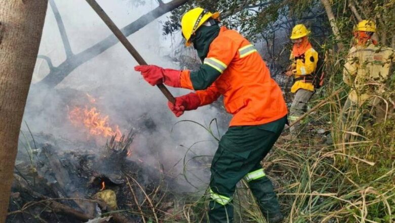 Ministro Álvaro Ruiz, sobre los incendios forestales: «No estamos contentos con eso, no se debería quemar ni una hectárea”
