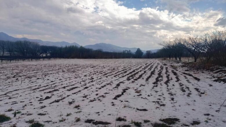 Granizo arrasó cultivos agrícolas en comunidades de Tarija
