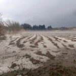 Ríos desbordados, animales arrastrados, el drama rural tras la granizada del domingo en Tarija