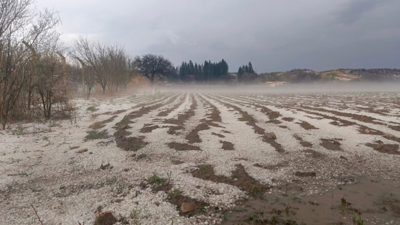 Ríos desbordados, animales arrastrados, el drama rural tras la granizada del domingo en Tarija