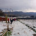 tarija: Granizada arrasa cultivos en comunidades rurales, Dirigente Rivelino Centeno exige seguro agrario