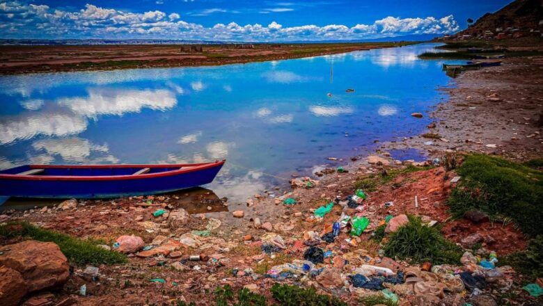 El lago Titicaca pierde vida, peces y habitantes por el avance de la contaminación