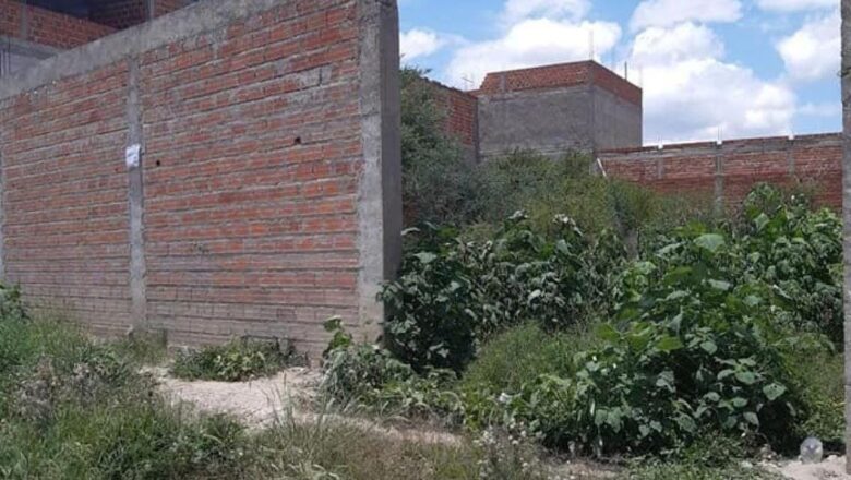Alcaldía intensifica control de lotes baldíos y detecta 37  infractores en Tarija