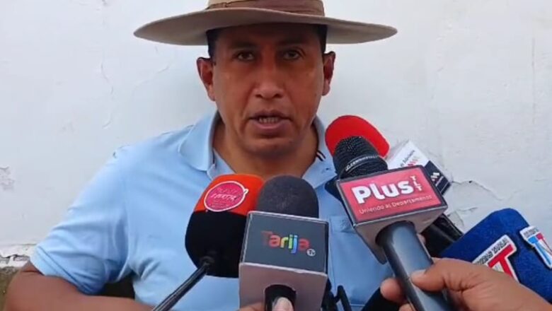 Granizadas prematuras golpean Tarija, Asambleísta denuncia falta de apoyo de las autoridades al sector agrícola